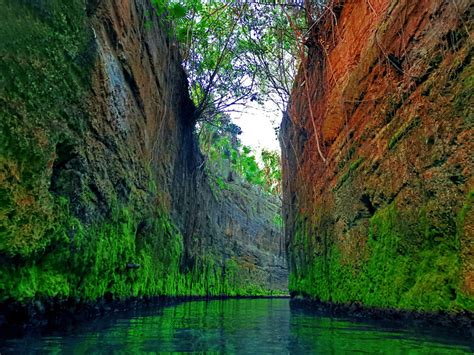 A Complete Guide to Mexico’s Xcaret Adventure Park